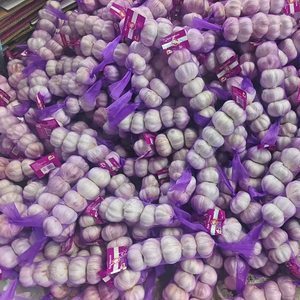 Bulbos de ajo fresco morado de nueva cosecha a la venta exportador confiable de China Ajo Chino Alho Fresco Popular en México - Product Image 4