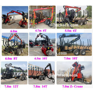 Mesin Pemetik Buah Kelapa Sawit/Mesin Pengambil Buah Kelapa Sawit dengan Grapple, Crane Pengambil Buah Kelapa Sawit dengan 4 Cakar - Product Image 2