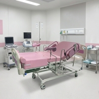 Cama de Partos para Exámenes Ginecológicos, para Hospitales, Clínicas y Salas de Maternidad, con Soportes para Piernas, Mesa de Partos