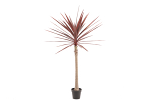 Árbol de Yucca Artificial de Plástico con Tacto Real para Interiores y Exteriores, Planta de Simulación, Árbol de <span class=keywords><strong>Agave</strong></span> Artificial, Yucca Artificial al por Mayor - Product Image 2