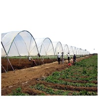Serre commerciale robuste Sainpoly, serre 4 saisons, serre pour baies, fleurs et plantes