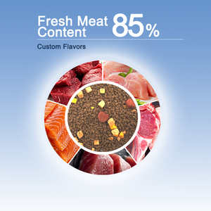 Zengin besinler ve iyi tat tahıl içermeyen ana madde taze et 20kg torba ile güçlendirilmiş yüksek <span class=keywords><strong>Protein</strong></span> kedi maması - Product Image 2