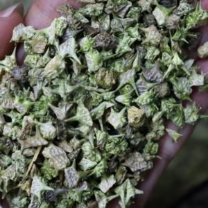 Экстракт Трибулус Террестрис |   Сапонины <span class=keywords><strong>40</strong></span>% - 98% |   Протодиосцин 20% - 98%: Экстракт для повышения жизненной силы и производительности, настраиваемый оптовый заказ - Product Image 3