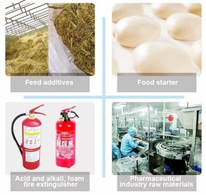 Bicarbonate de Sodium NaHCO3 (CAS 144-55-8) en Poudre pour la Cuisson – Vente Directe Usine – Prix Compétitif - Product Image 6