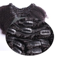 Pince à cheveux bruts en cheveux humains 100% 4B4C Afro Kinky Curly Clip Ins Extensions de cheveux vierges brésiliens