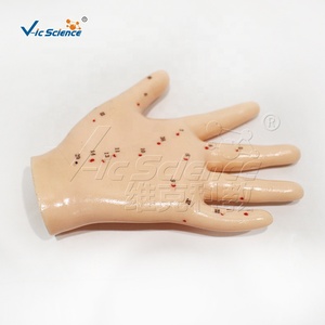 13cm tay mô hình châm cứu cho khoa học y tế ứng dụng mô hình châm cứu cơ thể con người - Product Image 5
