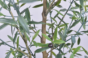 Arbre d'olivier artificiel de haute qualité, <span class=keywords><strong>plantes</strong></span> en soie artificielle de style moderne <span class=keywords><strong>pour</strong></span> la décoration de magasins de meubles - Product Image 5