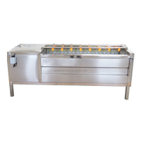 304 roestvrijstalen voedselveilige machine voor het wassen en schillen van groenten en fruit met motor, capaciteit 50-2000 kg/uur