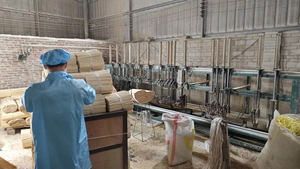 Varillas de Bambú Crudo para Incienso Personalizadas 1.3mm 1.4mm 1.5mm 1.6mm 2mm 2.5mm 3mm Materiales de Diferentes Diámetros - Product Image 4