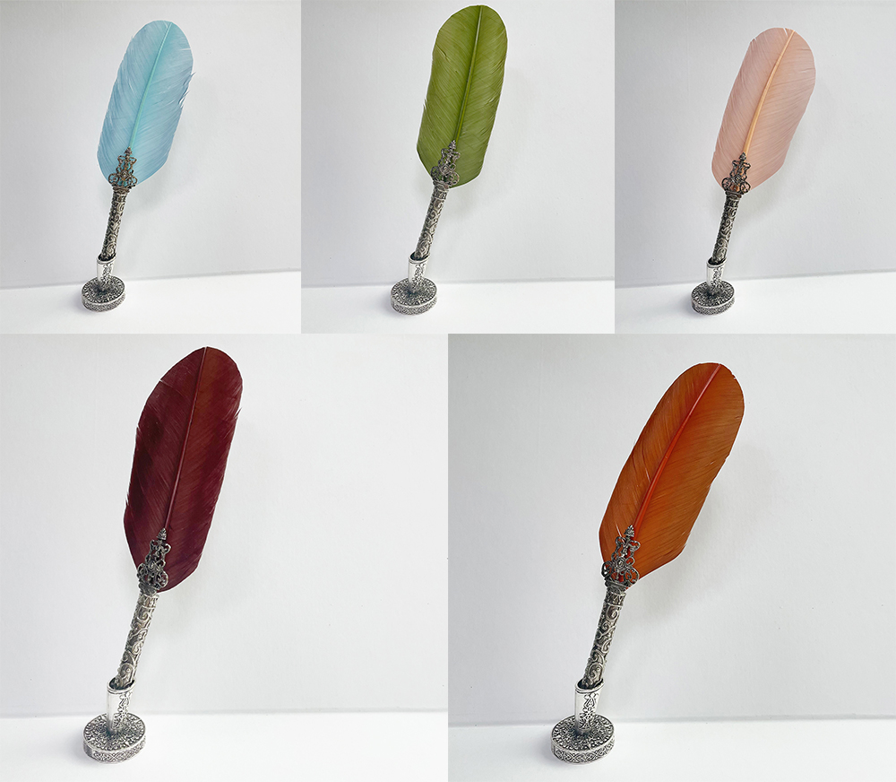 Penna della piuma con il basamento set