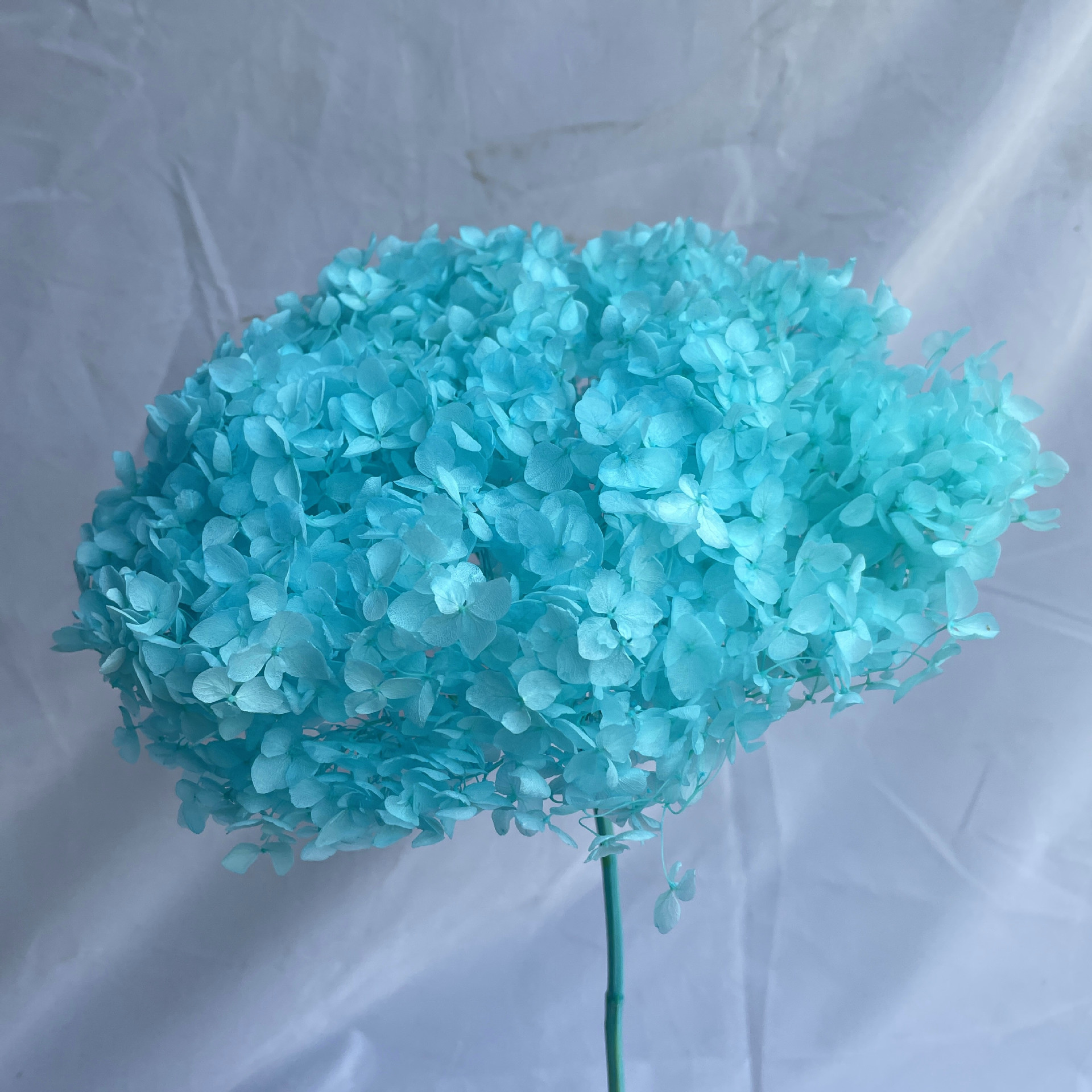Bleu profond tiffany