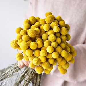 Offres Spéciales 2026 : Bouquet de Tournesols DIY, Fleurs Dorées <span class=keywords><strong>Billy</strong></span> Ball Préservées pour Arrangements Décoratifs Maison - Product Image 1