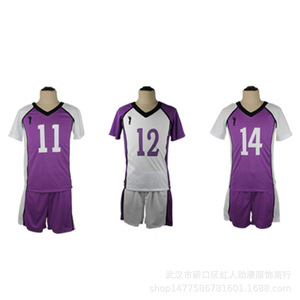 ชุดนักเรียนโรงเรียนมัธยมชิราโทริซาวะ ไฮคิว คอสเพลย์ เสื้อเจอร์ซีย์แขนสั้น ชุดกีฬาทีม ยูนิเซ็กซ์ โพลีเอสเตอร์ พิมพ์ลายแบบซับลิเมชั่น - Product Image 4
