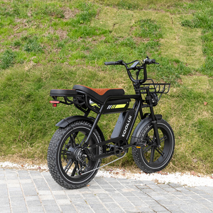 Bicicleta Eléctrica Fat X9 PROS, Fatbike de 7 Velocidades, 250W, Híbrida Urbana y Todoterreno, X9 PROS con Excepcional Autonomía de 150KM, con Doble Batería de 48V 31. - Product Image 1