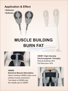 Appareil HIEMT BECO pour la perte de poids, la réduction de la cellulite, le renforcement musculaire et le remodelage corporel - Product Image 5