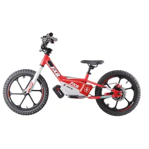 하이 퀄리티 16 인치 스틸 소재 2 아이들을위한 바퀴 어린이 전기 자전거 충전식 전기 자전거