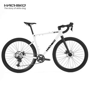 2024 più popolare 700C 10 velocità ghiaia bici cavo interno instradamento freno a disco che personalizza bici da strada a buon mercato - Product Image 4