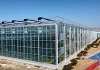 Serre commerciale multi-chapelles Venlo en verre pour l'horticulture, avec structure métallique en aluminium et isolation hivernale pour légumes