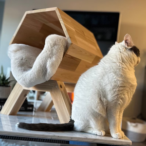 <span class=keywords><strong>Maison</strong></span> <span class=keywords><strong>pour</strong></span> <span class=keywords><strong>chat</strong></span> moderne et écologique Couvercle <span class=keywords><strong>de</strong></span> bac à litière en bois à la mode Meubles en caoutchouc et plastique <span class=keywords><strong>pour</strong></span> chats Leur carton <span class=keywords><strong>de</strong></span> <span class=keywords><strong>toilette</strong></span> - Product Image 4