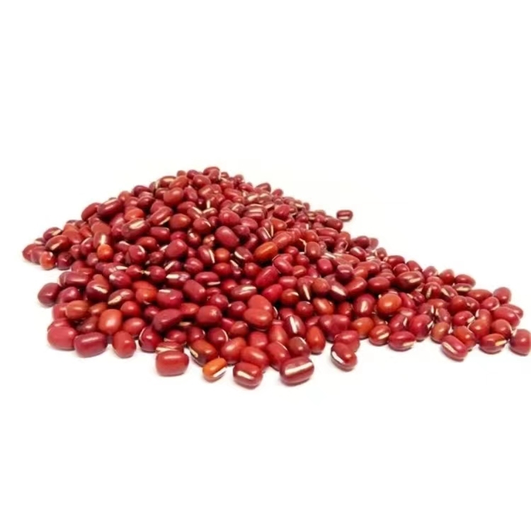 Pure natural selection of fresh red beans with high nutritional value.