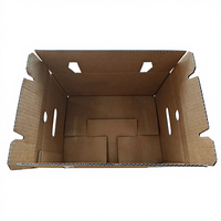 Emballage en carton ondulé pour légumes et fruits, prix de gros personnalisé, boîtes d'emballage avec trou de transport, doublure en éponge, dossiers