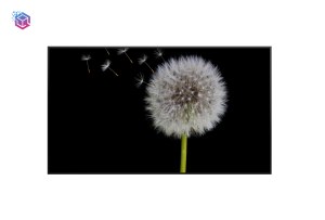 Écran publicitaire LCD avec fonction minuterie - Allumage/extinction automatique pour la promotion en <span class=keywords><strong>librairie</strong></span> et en pharmacie - Product Image 4