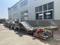 Productielijn voor het wassen, blancheren en koelen van BSF-larven, continu insectenlarvenverwerkingsapparatuur, aanpasbaar, CE & ISO gecertificeerd