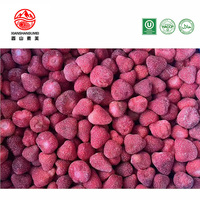 Diepvries IQF Aardbeien Diepvriesfruit Diepvries Aardbeien voor Export