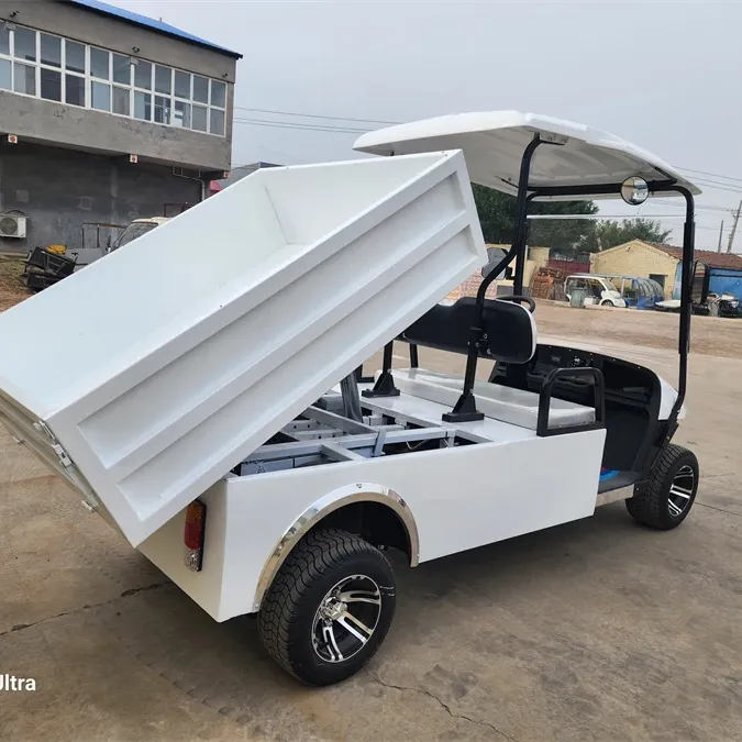 Customized Pickup Truck Aluminum Cargo Bed 2 Seater Utility Carts Automatic Hydraulic Rod Dump Truck Golf Cart With Cargo Box