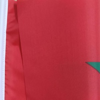 Drapeaux à Agiter à Main du Maroc avec Mât en PP, Sérigraphiés en Polyester Haute Visibilité pour Activités Promotionnelles
