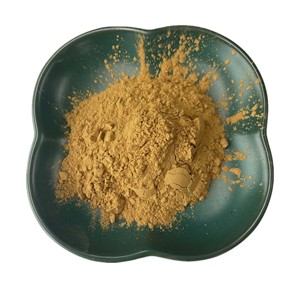 Extracto de Raíz de Tongkat Ali Natural de Grado Alimenticio con 1% 2% de Euricomanona, Polvo 200:1, Envasado al Vacío en Tambor - Product Image 1