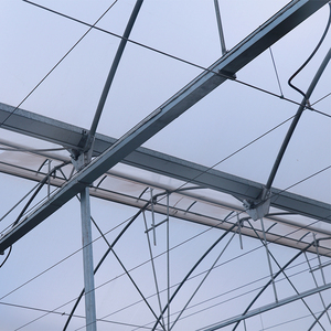 Invernadero Gótico con Estructura de Acero Galvanizado, Techo de Tejas Dentadas, Sistema de Ventilación Natural, Estructura Duradera para Cultivo Comercial de Bayas - Product Image 5