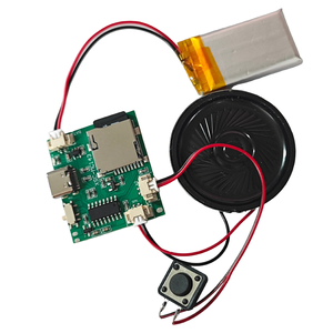Customizable Factory Custom USB MP3 Player Module Chip <strong>Recordable</strong> Sound Modules MP3 Download Sound Chip 128MB - Product Image 6