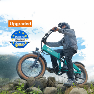 Vélo d'équilibre d'extérieur, vélo électrique pour adultes, 48V 500W, <span class=keywords><strong>45</strong></span> <span class=keywords><strong>km</strong></span>/<span class=keywords><strong>h</strong></span>, batterie au lithium, frein à arrêt automatique, vélo électrique, vélos électriques - Product Image 5