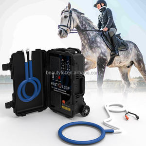 Máquina de tratamiento de lesiones deportivas sin dolor PMST Loop Physio Magneto Veterinary Instrument Horse por PMST Vet - Product Image 5