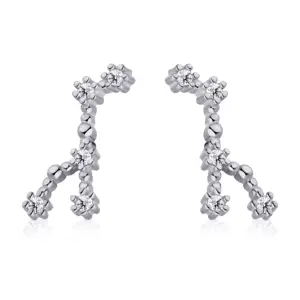 Dylam Pisces Stud Earrings Wholesaler 2021With Zircon 925 Silver Earrings For Women Luxury Earrings Trendy