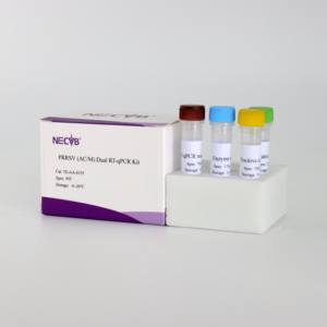 ชุดมืออาชีพ: แยกแยะความแตกต่างของ prrsv อเมริกันคลาสสิกและสายพันธุ์กลายพันธุ์ผ่านทางหลอดฟลูออเรสเซนต์คู่ RT - PCR - Product Image 2