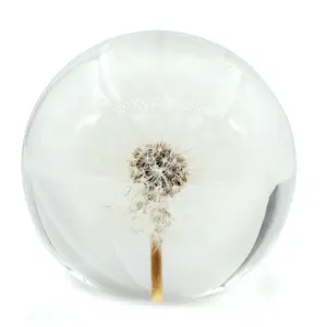 Kurutulmuş karahindiba kurutulmuş çiçek kristal reçine paperweight karahindiba küre temiz epoksi reçine top