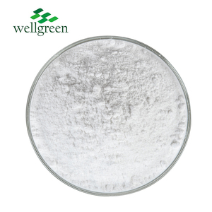 Wellgreen – supplément alimentaire en Bisglycinate de fer/bisglycinate de magnésium, prix de gros