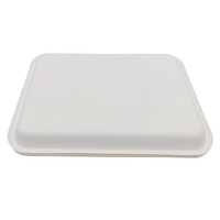 Plateau rectangulaire à viande jetable, 1 pièce, plateau en papier pour la viande, sugarcane, sans bpa