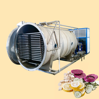 Xdx Hoogrenderende Vriesdroogmachine Van Fruit/Lyofilisatiemachine/Vriesdroger Droogmachine