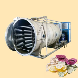 XDX High Efficiency Freeze Dry Machine Of Fruit/lyophilization Machine/freeze Dryer Drying Machine