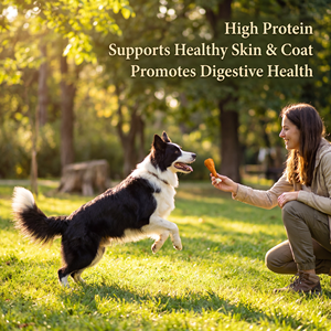Snack per Cani al Calcio di Pollo Personalizzato OEM ODM, Masticabile Naturale per Igiene Dentale, Supporto per Etichetta Privata e Confezione Personalizzata - Product Image 6