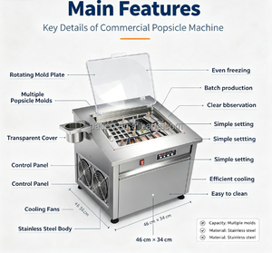 Máquina Comercial para Hacer Helados y Paletas de Hielo, 3000 Unidades/Día - Product Image 4