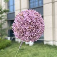 LO-29 Fleurs artificielles d'allium de haute qualité de 66 cm, fausses boules d'œillets et d'oignons, tiges florales décoratives pour la décoration de mariages, de maisons et d'événements