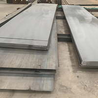 Tôle d'acier doux au carbone laminée à chaud ASTM A36 Q355B Q235B AR500 pour applications marines