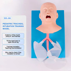 Maniquí de Simulación Humana de PVC ADA BIX-J4A para Vías Respiratorias Infantiles, Ciencia Médica, Intubación Traqueal, Enseñanza, Aprendizaje de Anatomía - Product Image 5