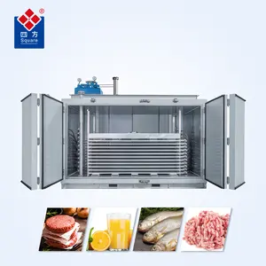 Custom Design Double Door Freezer Aluminum Frozen Box Vertical Horizontal Iqf Plate Freezer