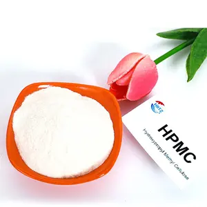 TZKJ奇妙Hpmc用于建筑级砂浆羟丙基甲基纤维素醚粉末200000粘度瓷砖粘合剂