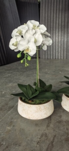 Fleur de cymbidium au toucher réel en <span class=keywords><strong>fausse</strong></span> soie blanche en gros pour la décoration de l'espace du festival à la maison - Product Image 2